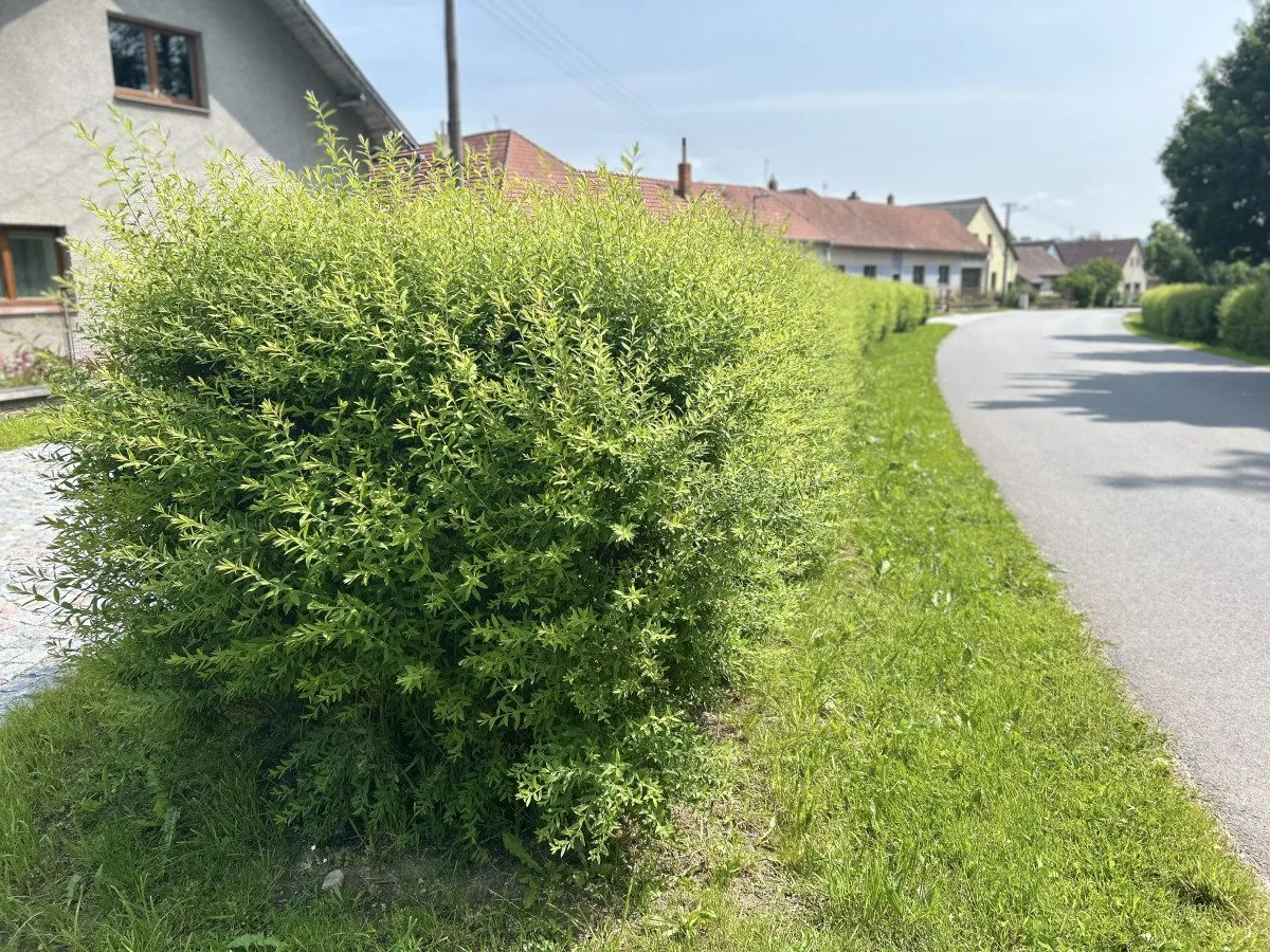 Obec Cejle, která získala ve Vesnici roku Zelenou stuhu, foto: Lenka Dvořáková
