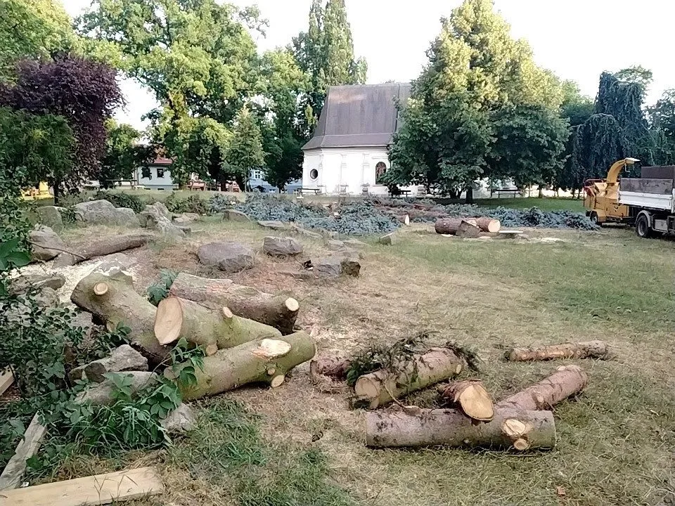 Ze Smetanových sadů zmizely jehličnany, Jihlavany rozsah kácení šokoval