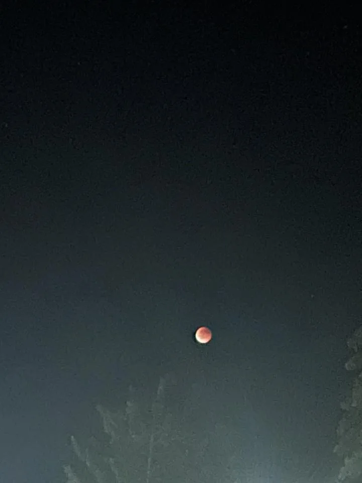 FOTO: Výjimečná událost. Zatmění měsíce v noci na dnešek fotili i lidé na Vysočině
