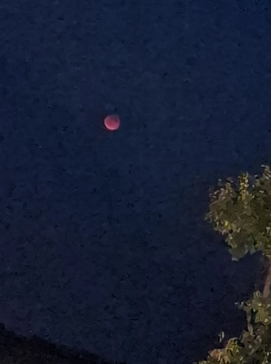 FOTO: Výjimečná událost. Zatmění měsíce v noci na dnešek fotili i lidé na Vysočině