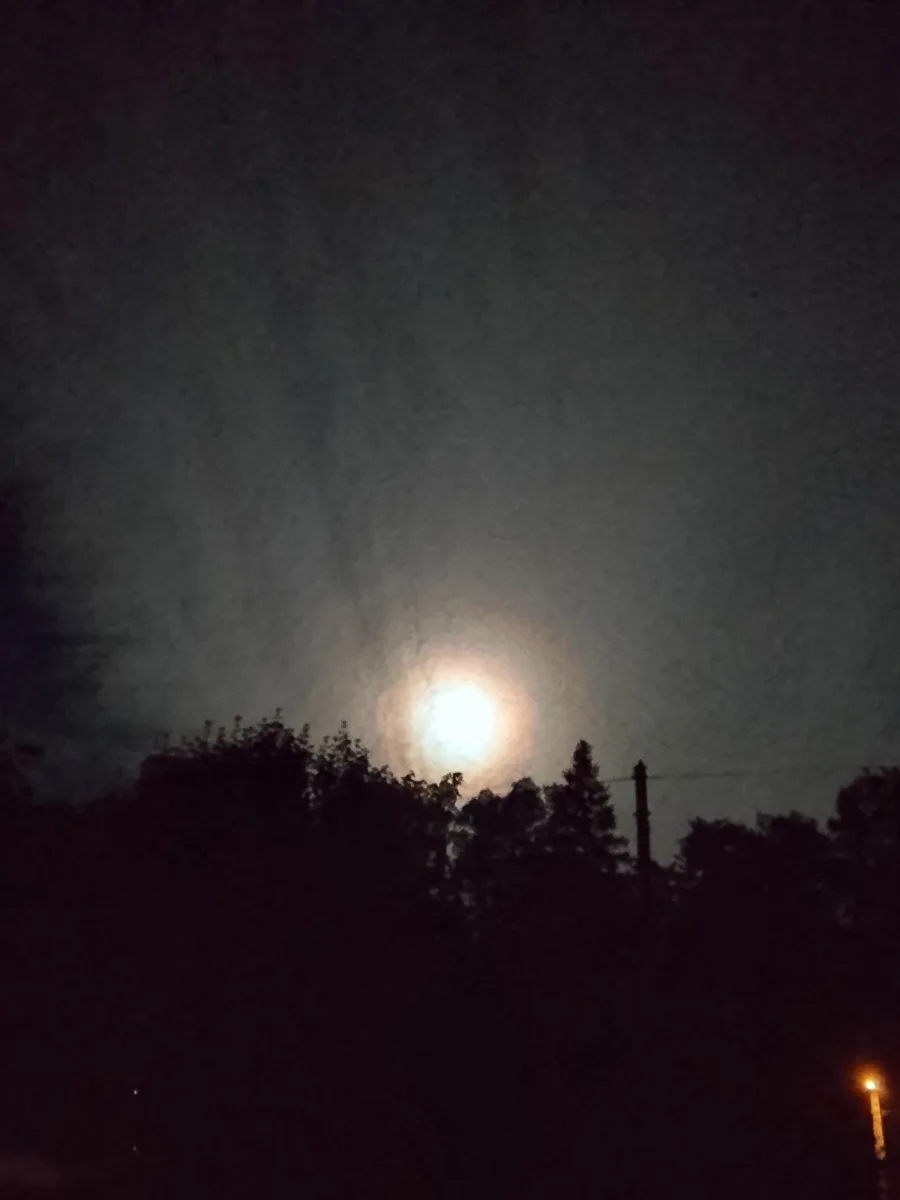 FOTO: Výjimečná událost. Zatmění měsíce v noci na dnešek fotili i lidé na Vysočině
