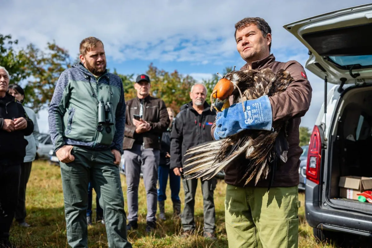 Pracovníci pavlovské záchranné stanice vypustili do přírody orla. Vybavili ho vysílačkou