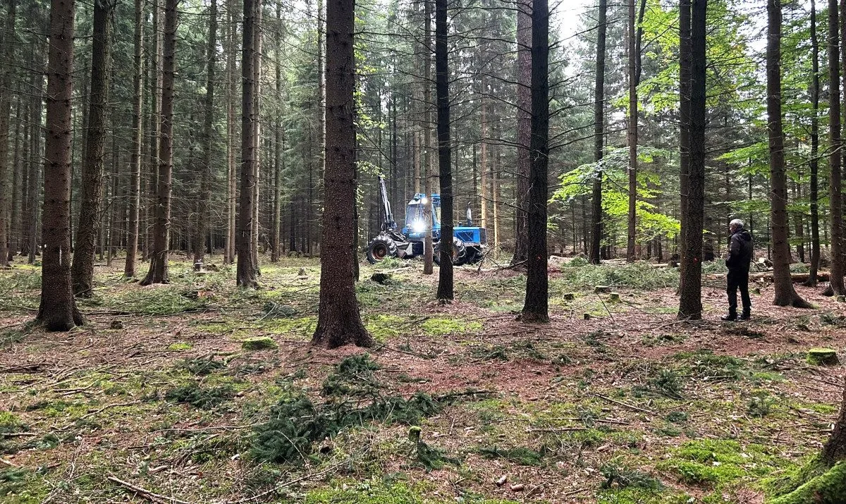 Takto pracuje harvestor na Jihlavsku. Jeden strom zpracuje asi za minutu