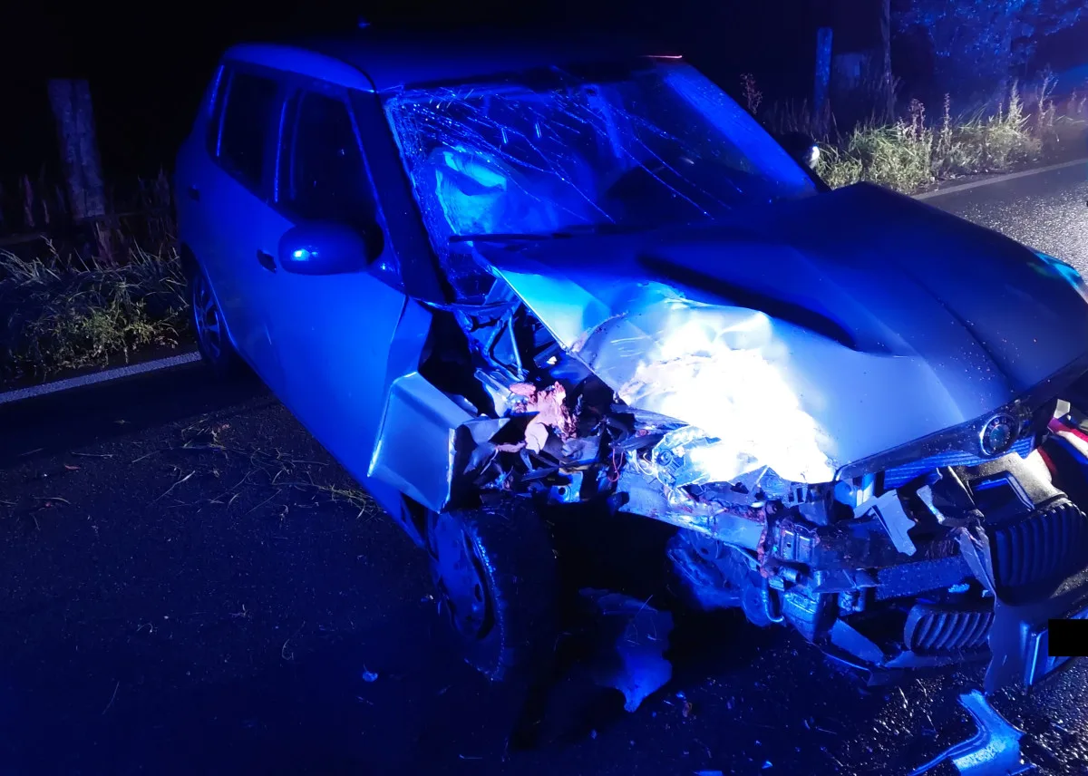 Řidiče u Horní Cerekve zastavil dvě hodiny po půlnoci strom. Měl téměř tři promile. Foto: Se svolením Policie ČR