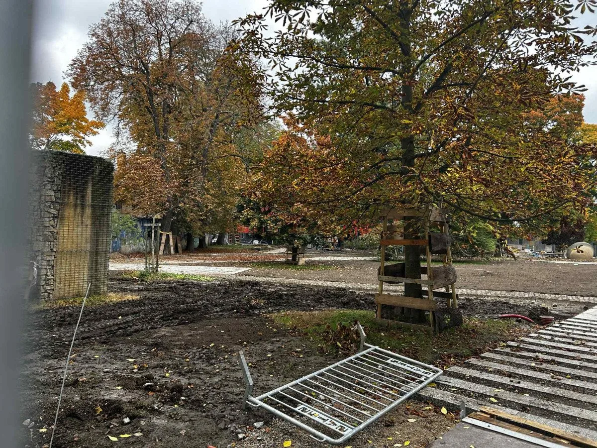FOTO: Ve Smetanových sadech mají dělníci plno práce, musí stihnou otevření arény