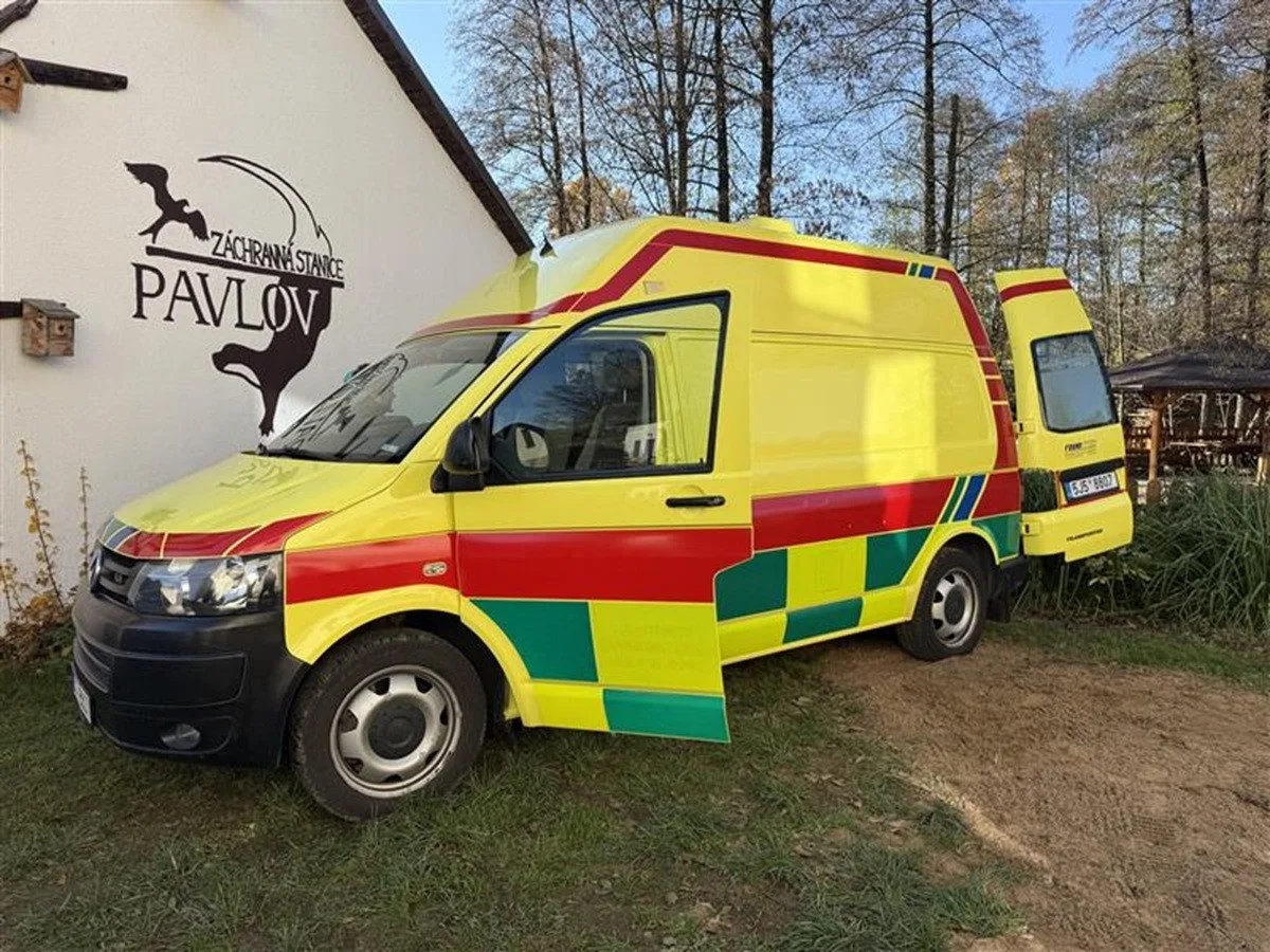 VIDEO: Druhý život vyřazené sanitky. Bude vozit zraněná zvířata z Pavlova. Foto: Se svolením Kraje Vysočina