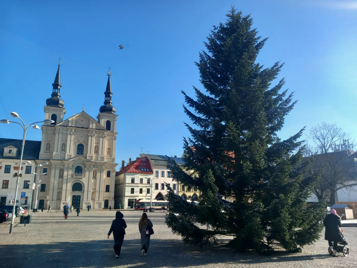 FOTO: Na náměstí v Jihlavě je vánoční strom, svítící ježci na lampách zatím chybí