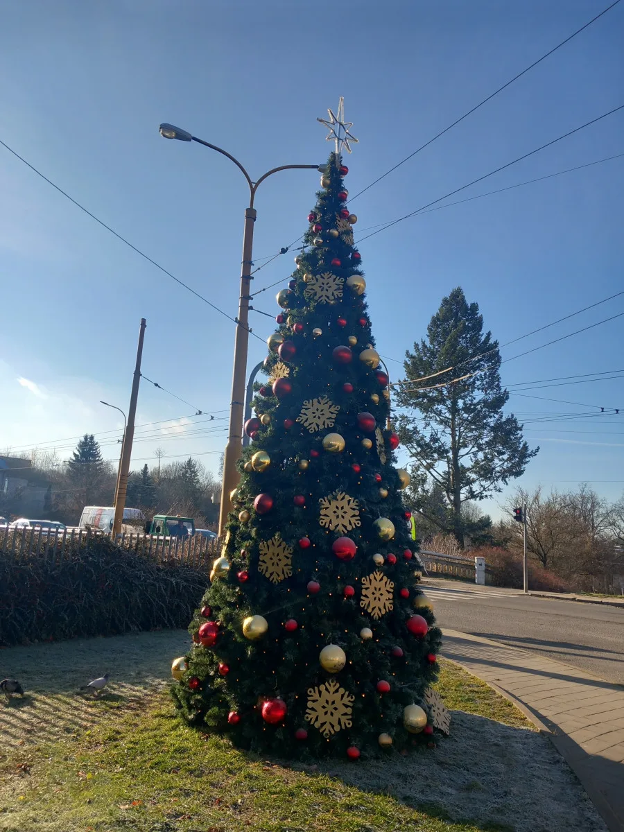 FOTO: Na náměstí v Jihlavě je vánoční strom, svítící ježci na lampách zatím chybí