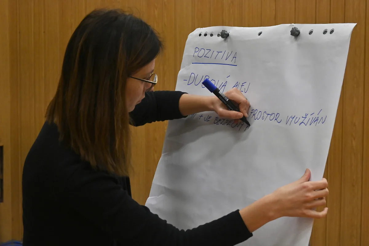 VIDEO: Bufet, fontána, nové toalety? Lidé debatovali o revitalizaci parku v Jihlavě