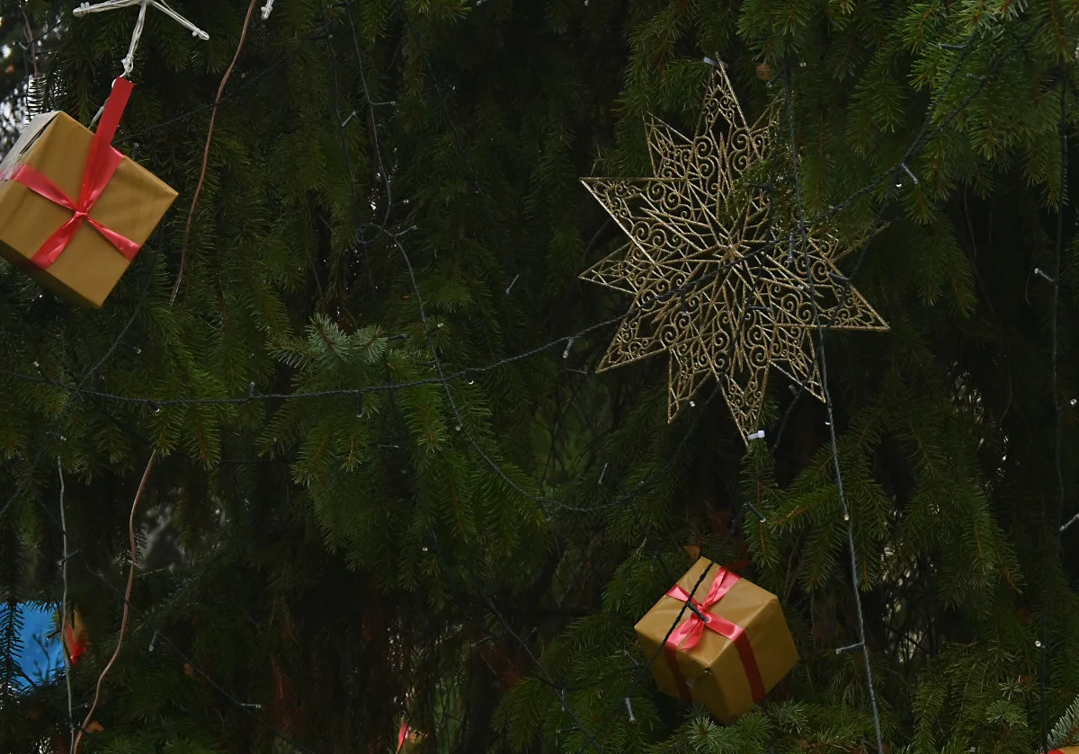 FOTO: Vánoce na jihlavském Paloučku, potěší za světla i po setmění. Podívejte se