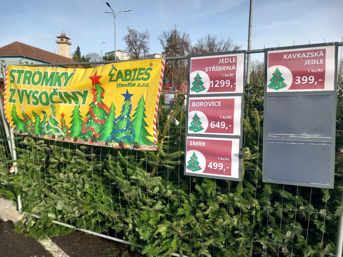 Vánoční stromek se dá v Jihlavě koupit za pár stovek, lidé do lesa s pilkou nechodí