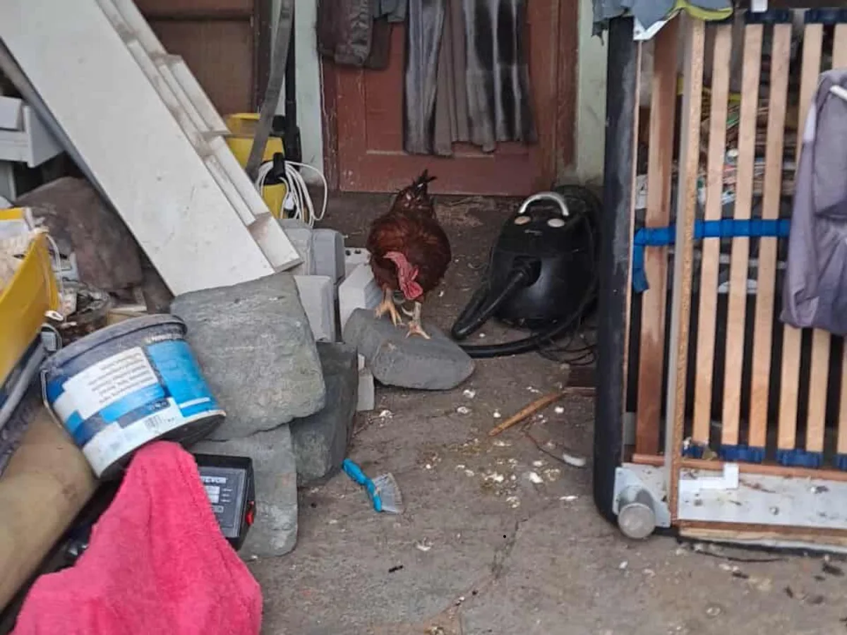 Požár zničil zázemí spolku, který se stará o děti v těžké situaci. Pomoct má sbírka