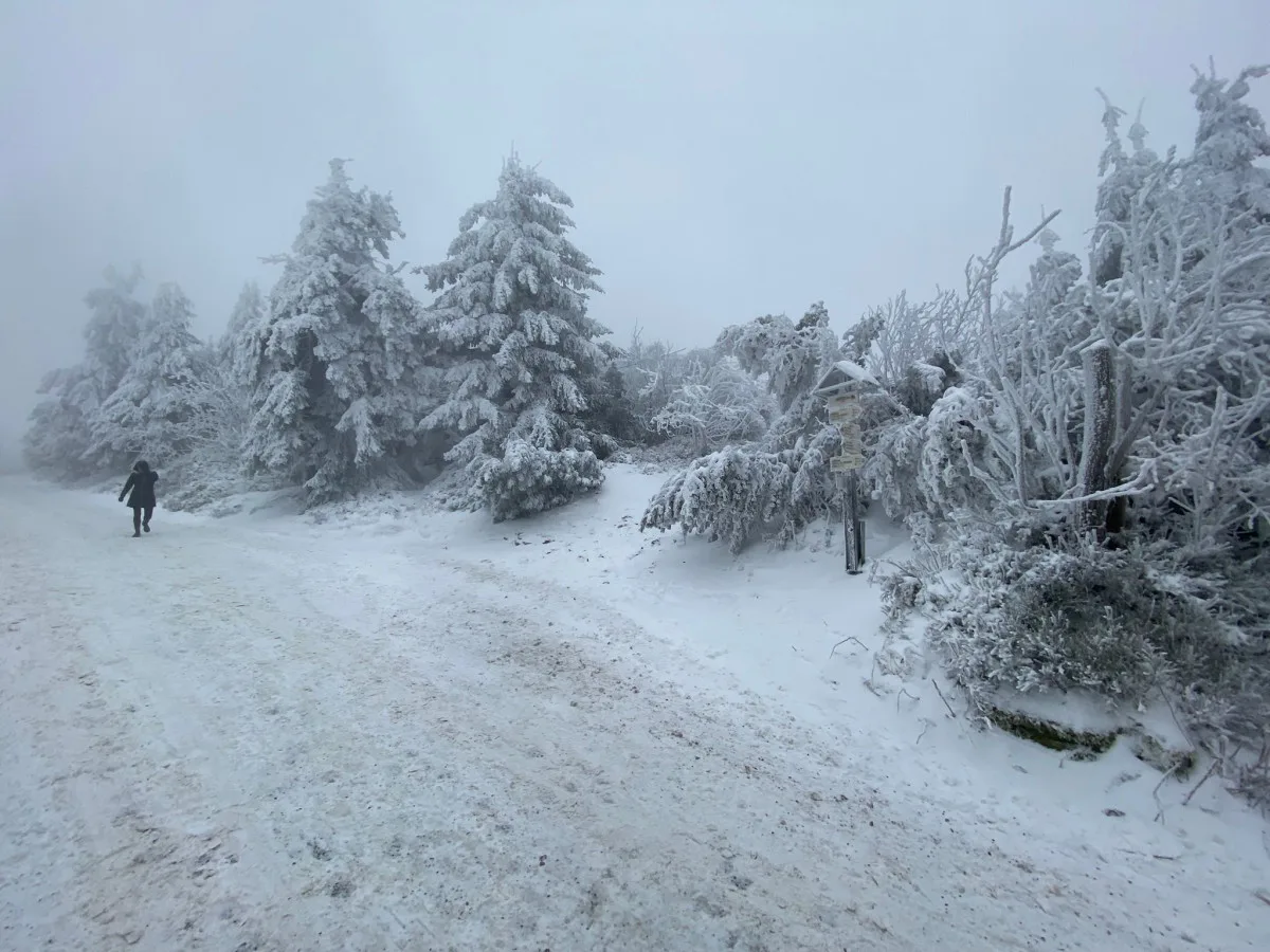 Pozor na silný mráz, varují meteorologové. Teplota má klesnout až k -16 stupňům