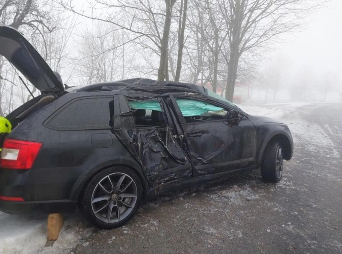 Mladý řidič dostal smyk a narazil do stromu, zranil se on i tři spolucestující. Foto: Se svolením Policie ČR