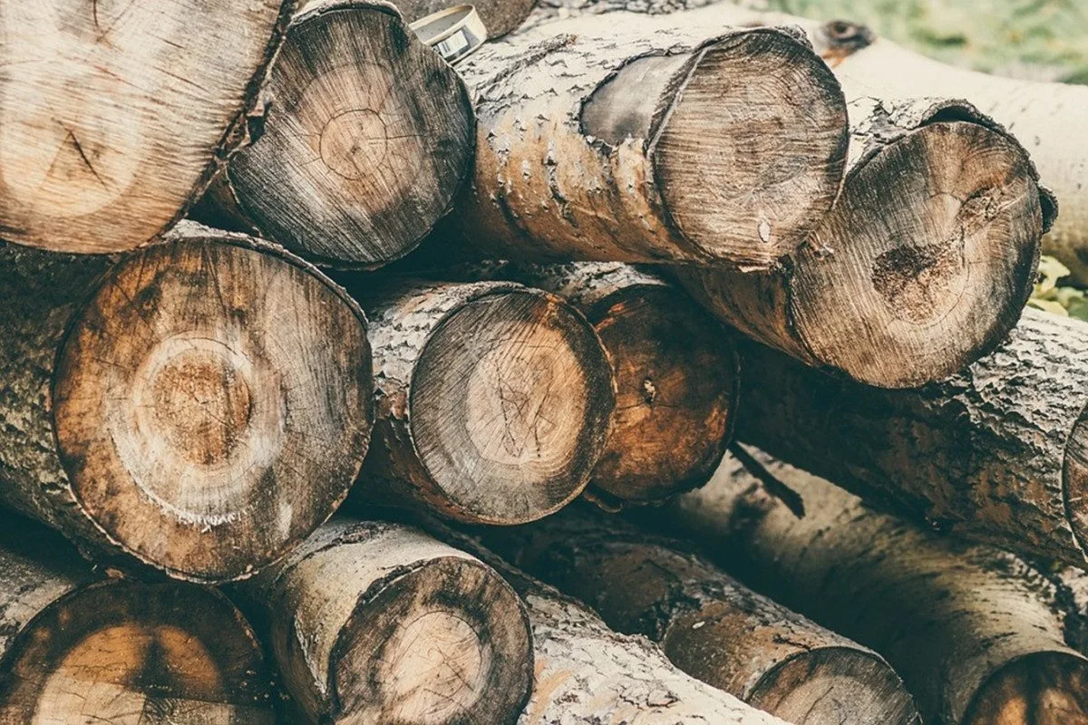 Ilustrační foto. Foto: pixabay.com
