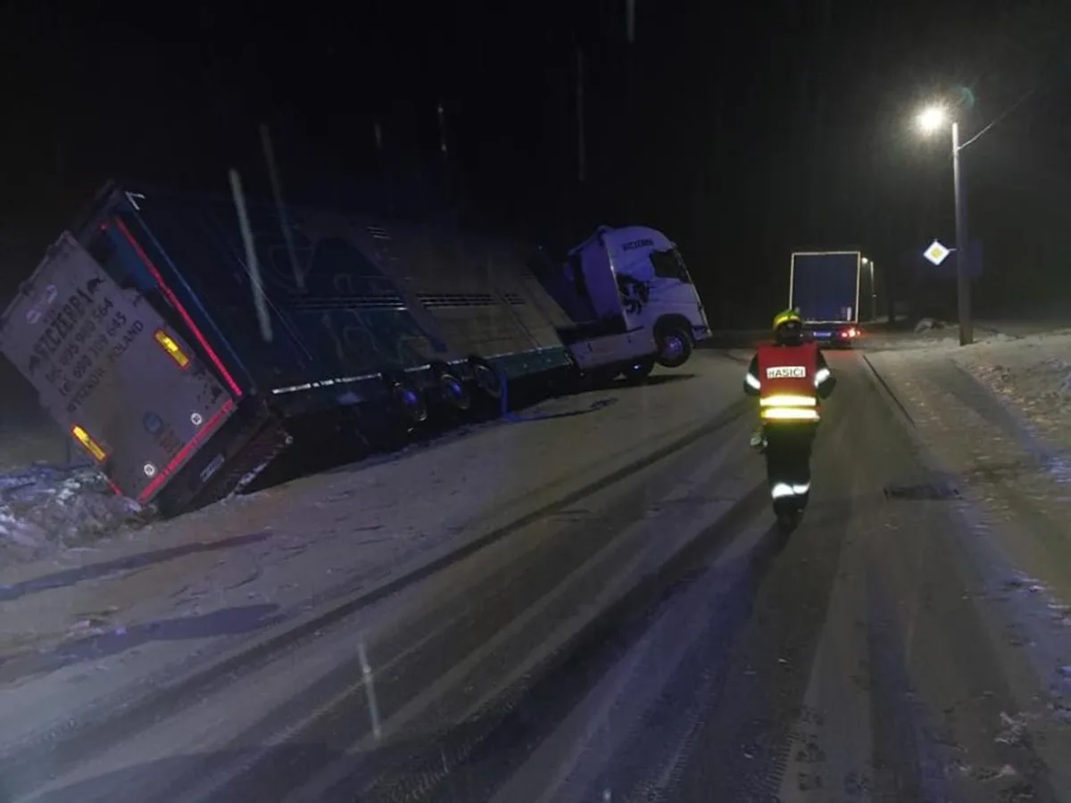 U Jívoví havaroval kamion převážející krávy. Čtyři z nich zřejmě nepřežijí. Foto: Se svolením Policie ČR