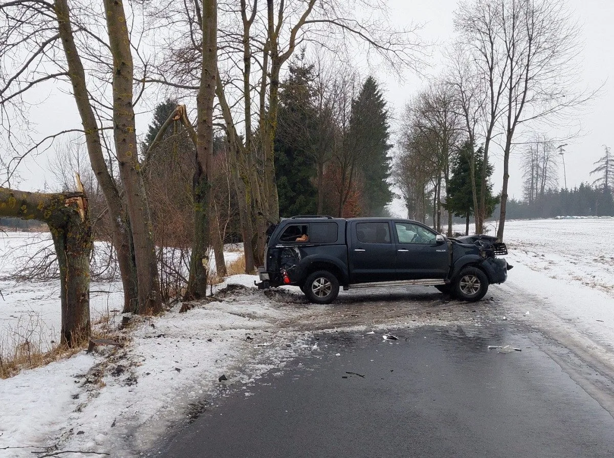 Řidič u Sedlejova se zřejmě snažil vyhnout zvěři v cestě a rozbil auto o stromy. Foto: Se svolením Policie ČR