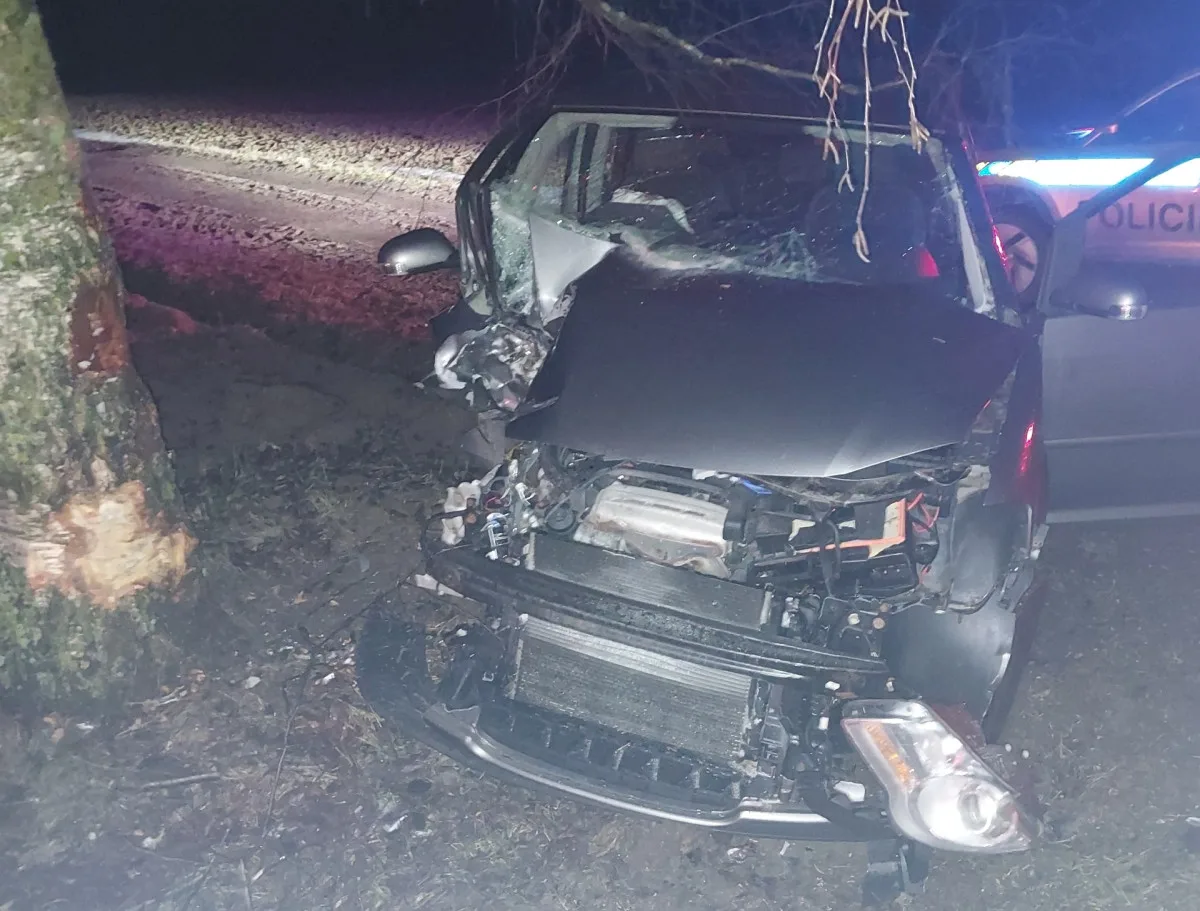 Řidič jedoucí na Rozkoš vyjel ze silnice a rozbil auto. Byl opilý. Foto: Se svolením Policie ČR