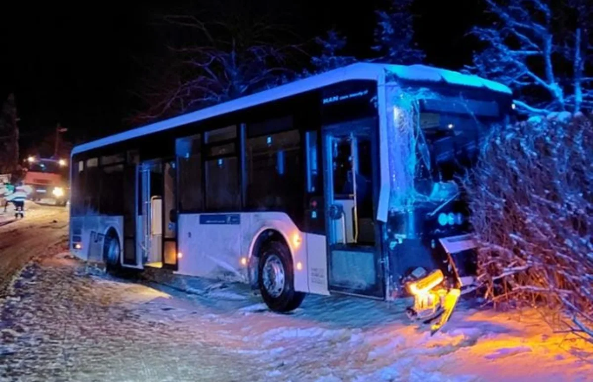 Autobus na Žďársku naboural do zaparkovaného auta a porazil sloup elektrického vedení. Foto: Se svolením Policie ČR