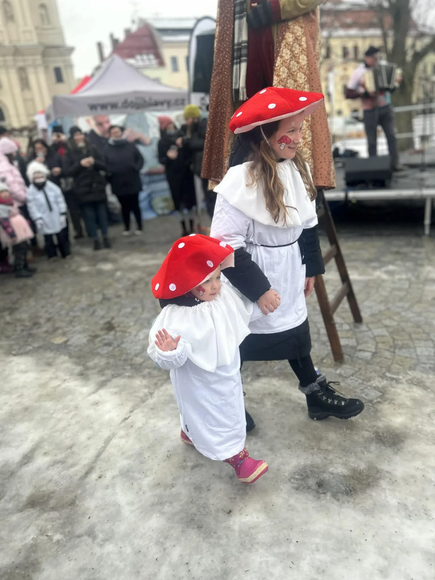 FOTO + VIDEO: Jihlavské ulice žijí Masopustním průvodem, zapojily se desítky masek