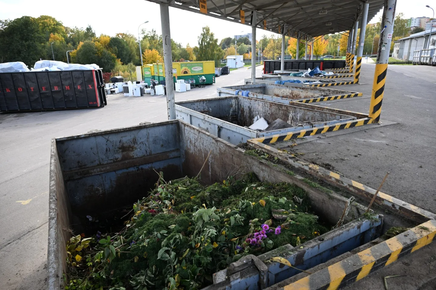 FOTO: V Brodě platí podle velikosti popelnice. Odpadu je méně, město ušetřilo miliony