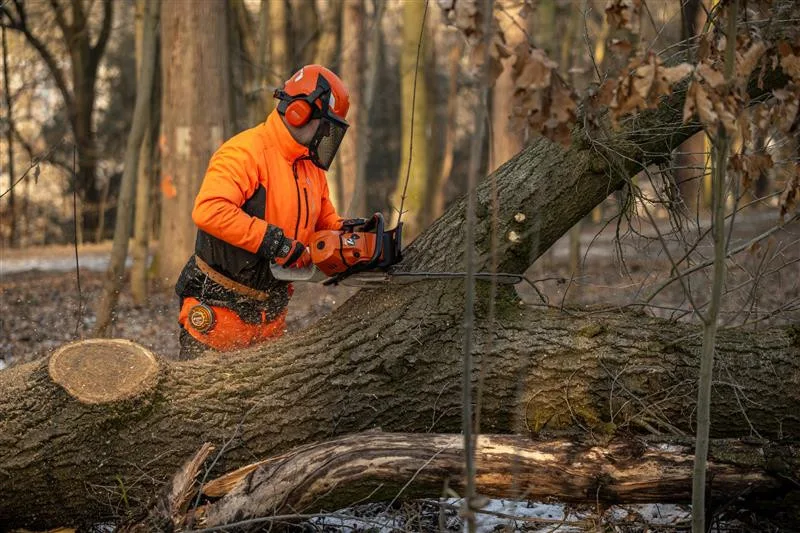 Ilustrační foto. Foto: Poskytlo město Jihlava