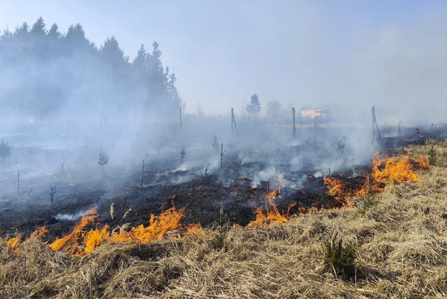 Rozsáhlý požár lesa u Věžničky. Foto: Poskytl JSDH Jihlava