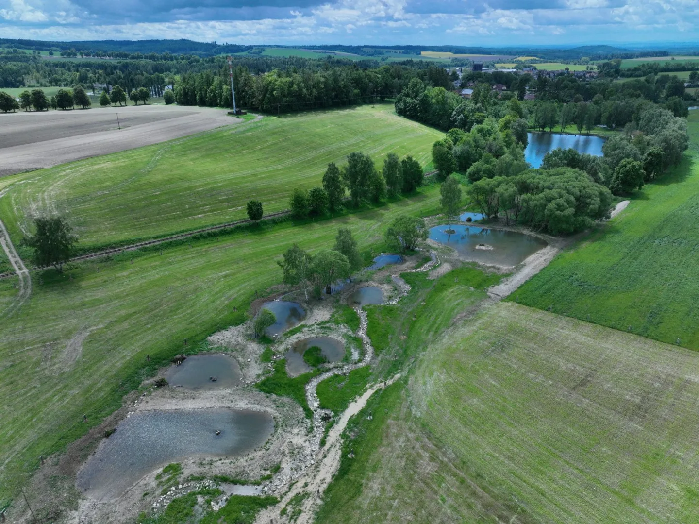 Revitalizace mokřadu Černovice u Tábora. Foto: ADAPTO.space