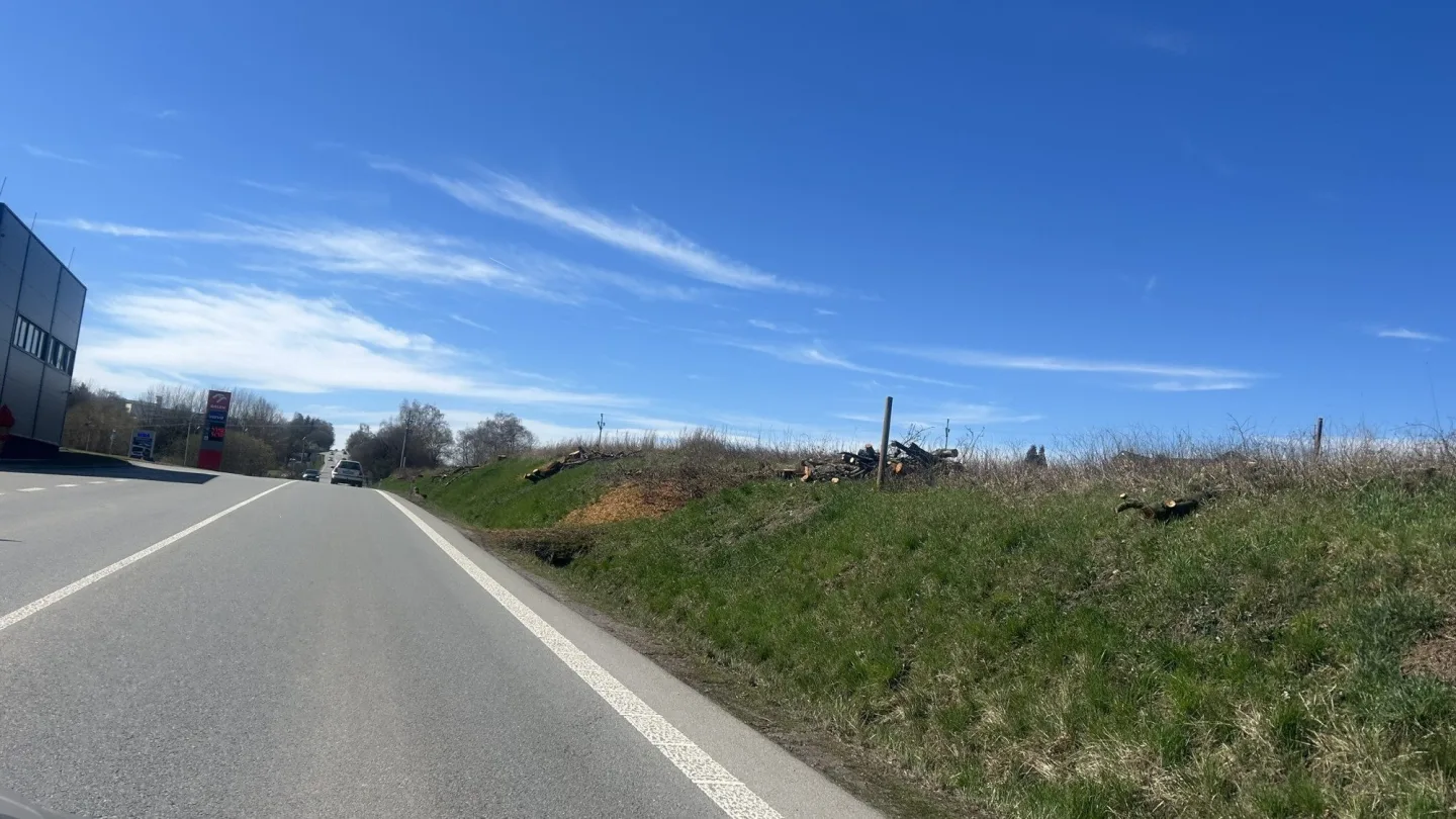 FOTO: Poblíž jihlavského Aventinu zmizely stromy. Vznikne tam nová křižovatka