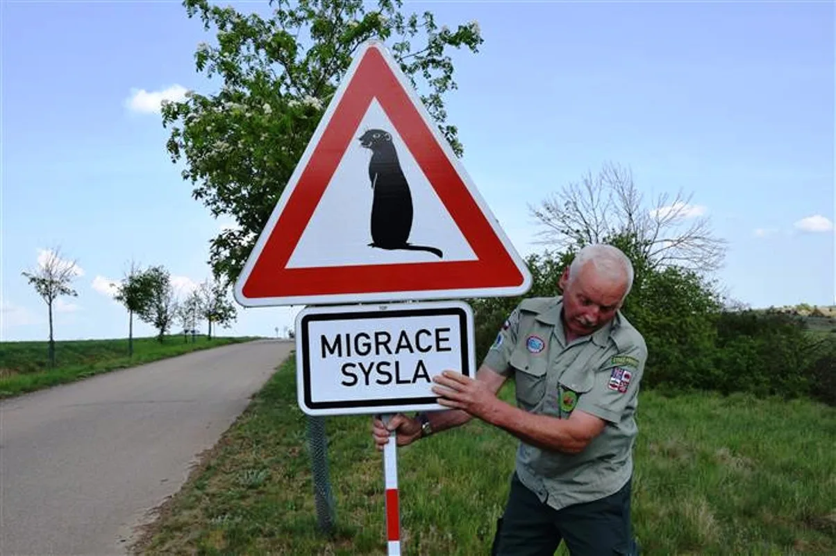 Ilustrační foto