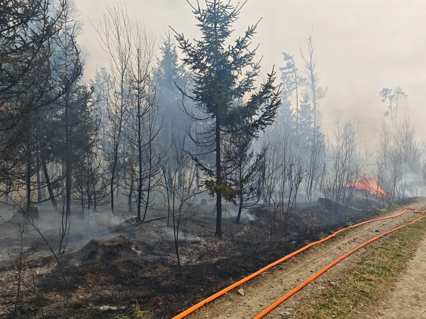 FOTO: Požár u Brzkova zaměstnává deset jednotek hasičů