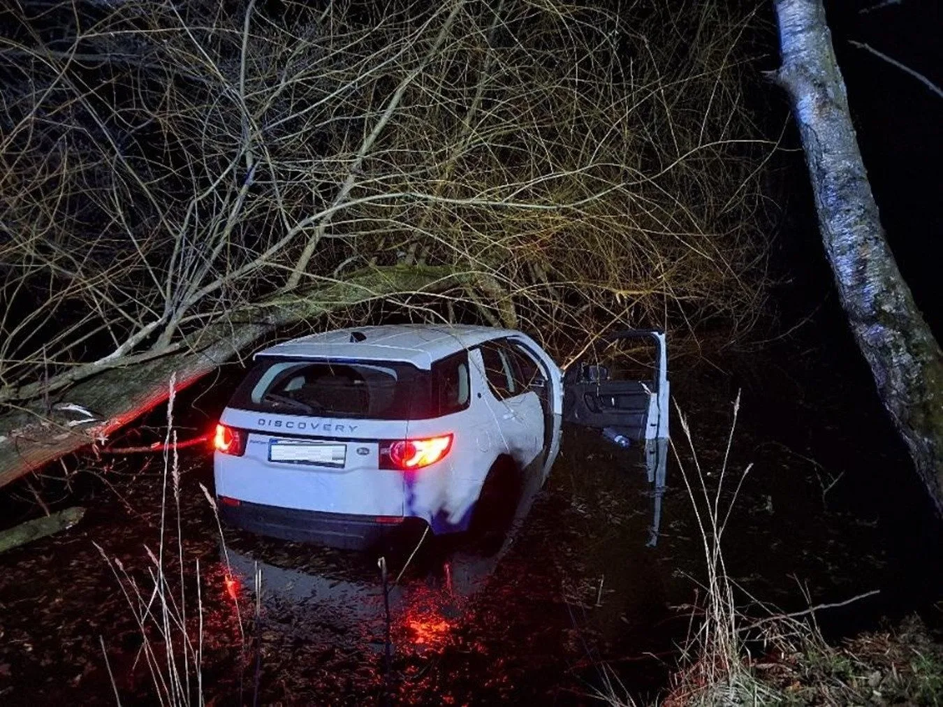 Mladá řidička sjela s Land Roverem do rybníka. Prý se vyhýbala zvěři. Foto: Policie ČR