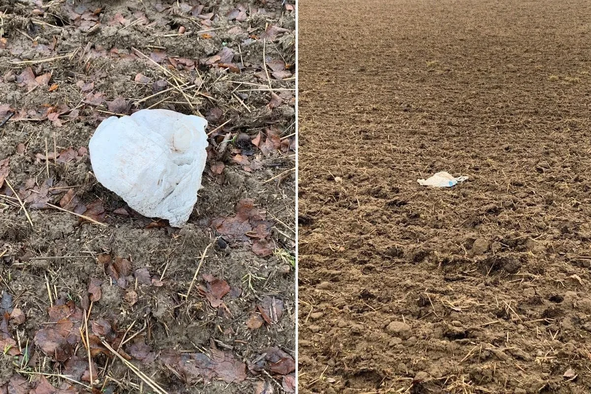Kdo vyhazuje použité pleny u Hlávkova na Jihlavsku? Místní prosí o pomoc. Foto: Jana Ottová