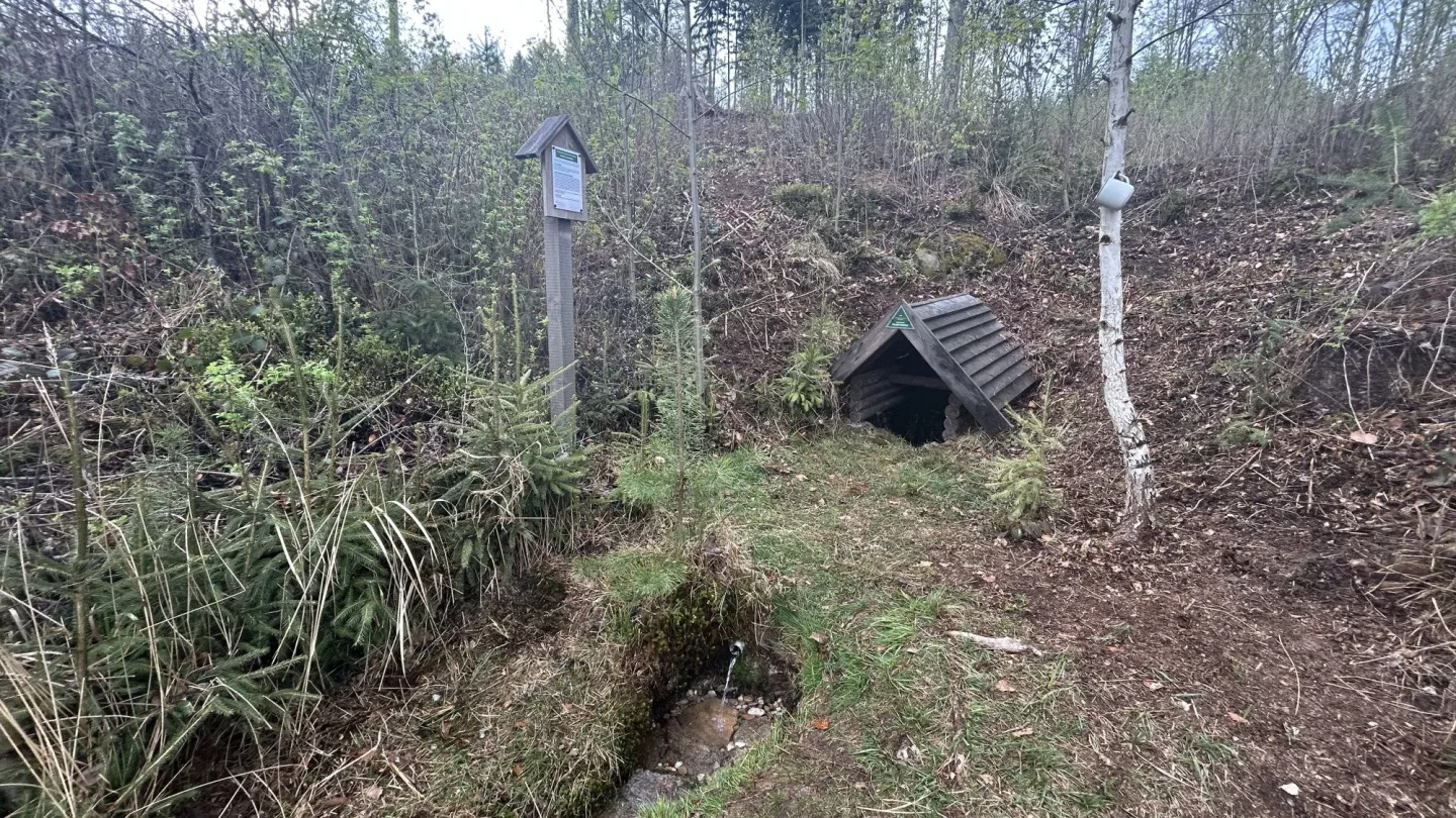 Den proti úložišti: V lokalitě Hrádek otvírali studánky. Vrtáka vyhnaly lesní víly
