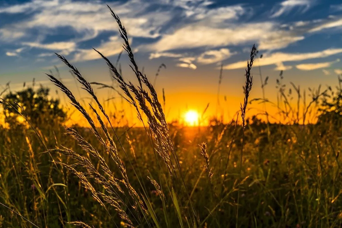 Ilustrační foto. Foto: pixabay.com