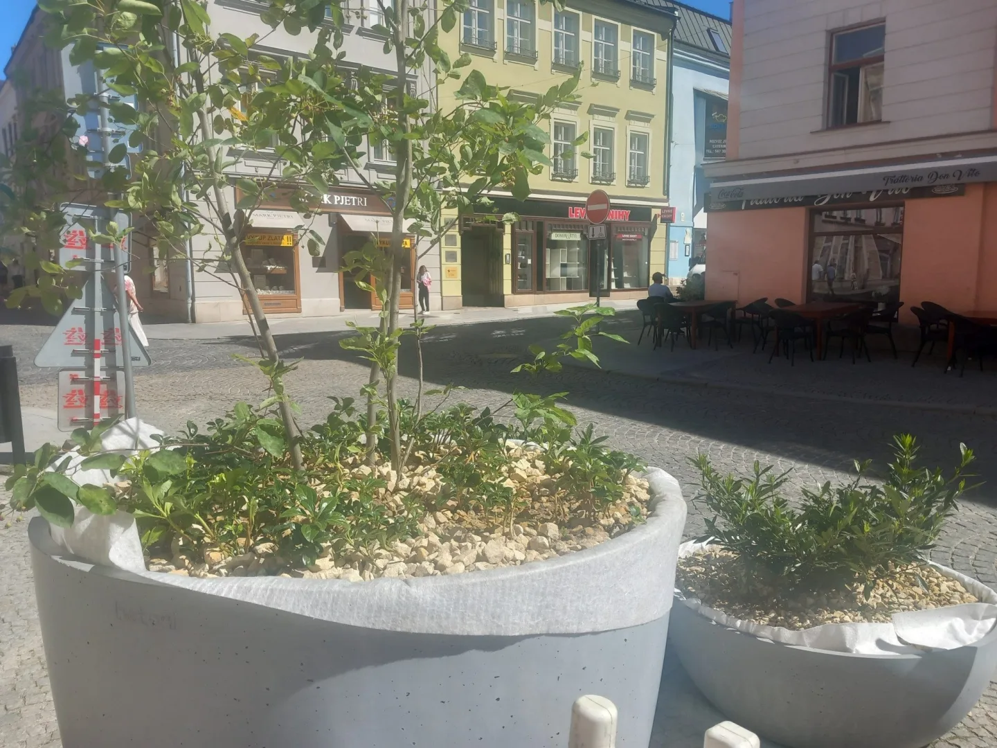 ANKETA: Nepříliš vysoké stromy a hnízda laviček oživují ulice v centru Jihlavy
