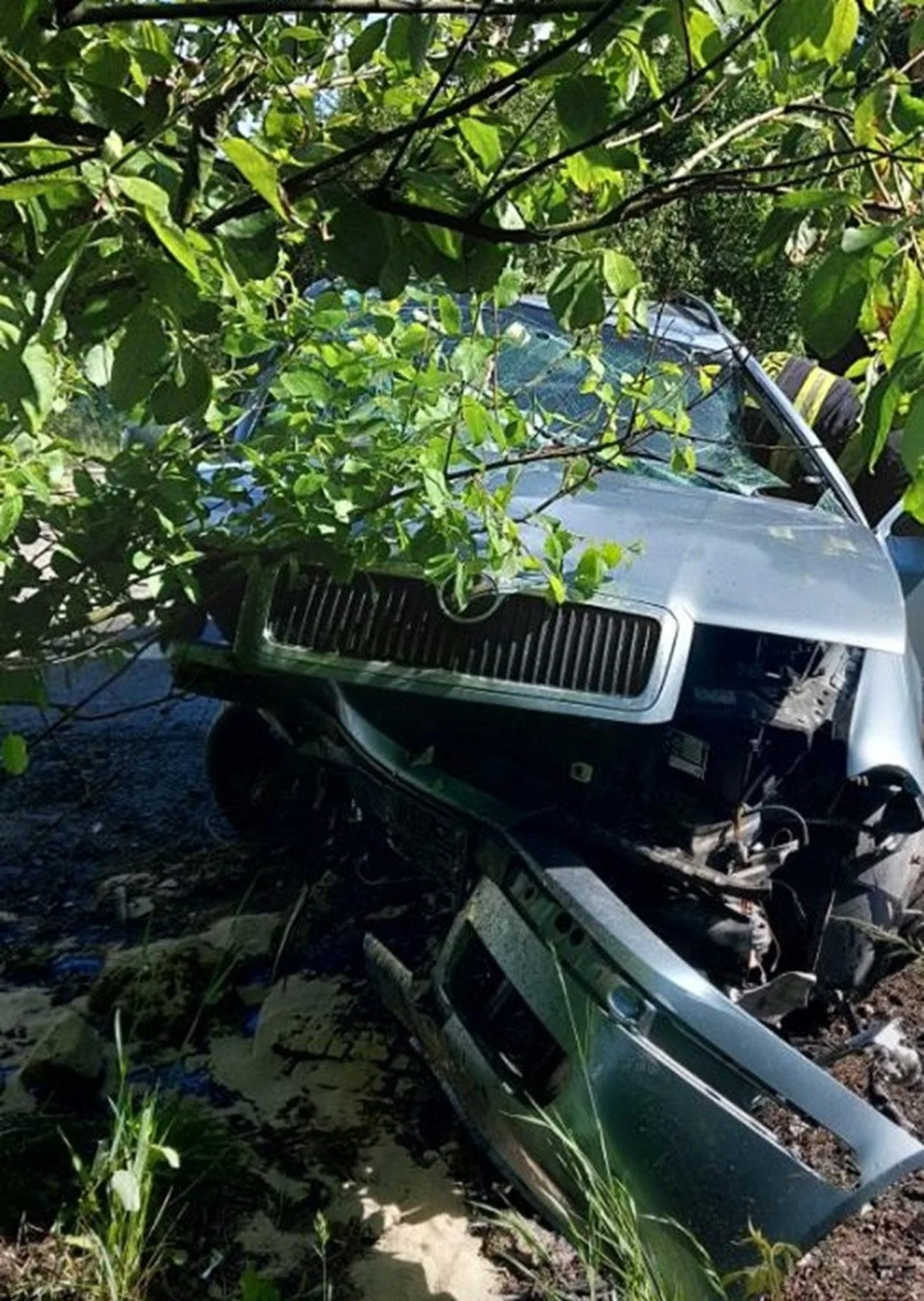 Šedesátiletý řidič zřejmě usnul za volantem. U Loudilky havaroval a zničil auto. Foto: Policie ČR