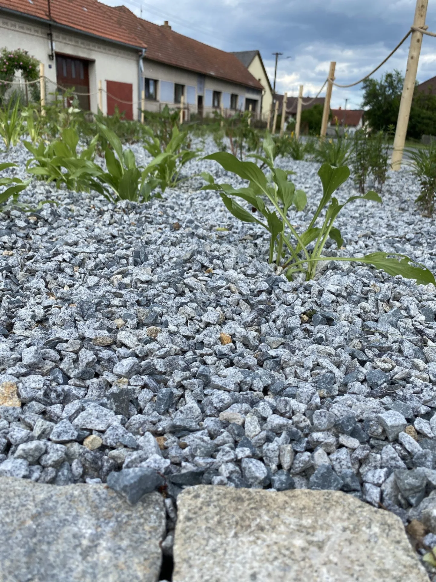 Do Cejle míří hodnotitelé z celé Evropy. Je to velká čest i závazek, říká starostka