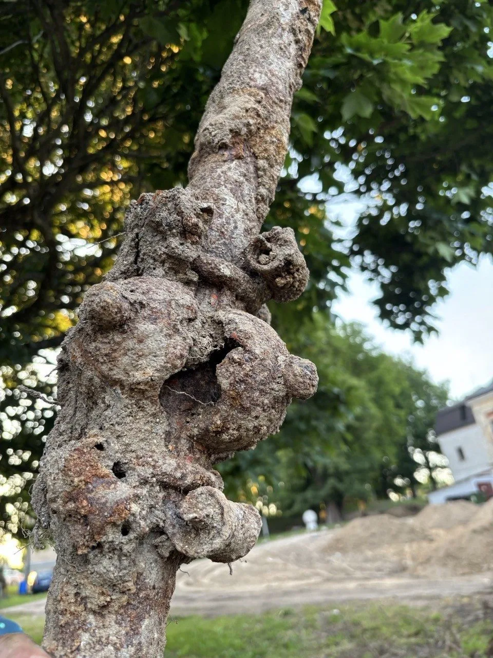 Ve Větrném Jeníkově bagrista vykopal hromadu železa. Může jít o historickou fontánu