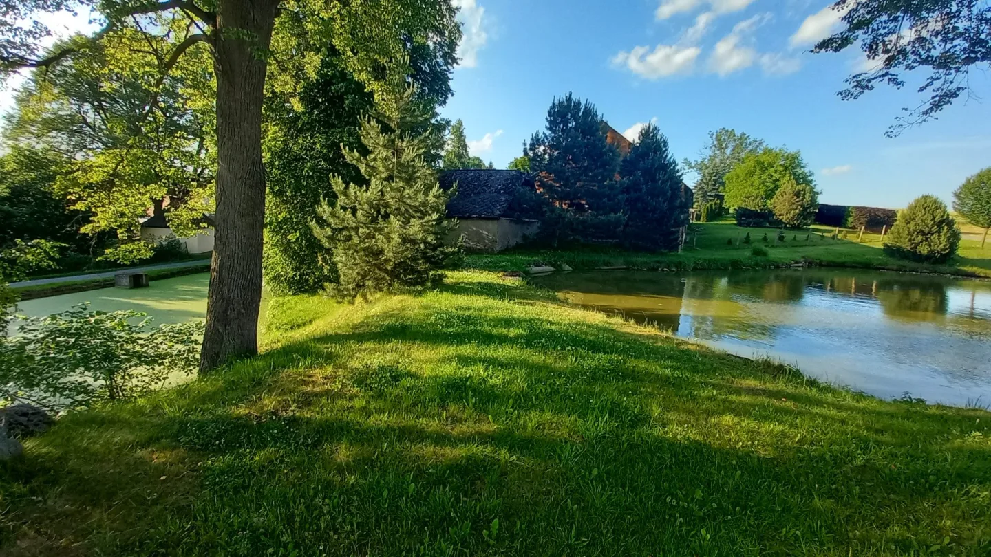FOTO: Zelený rybník v Bradle bude minulostí, nahradí ho odpočinkové místo s lavičkami