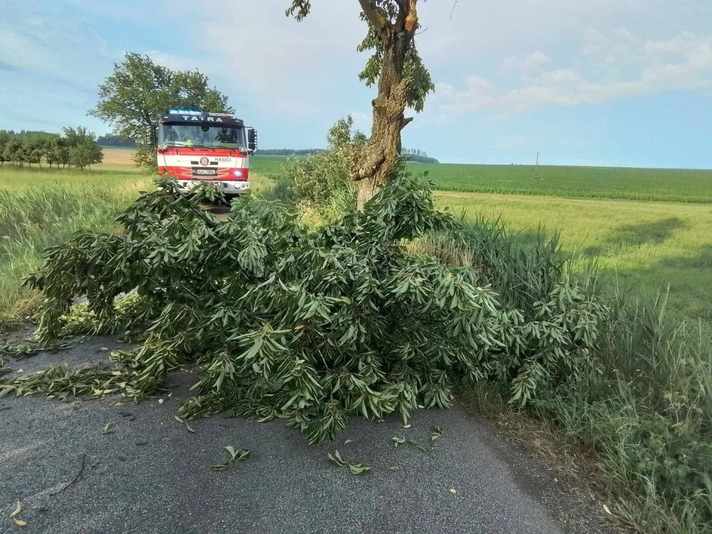 Vysočinu zasáhly další bouřky, padaly stromy. Domácnosti byly bez elektřiny