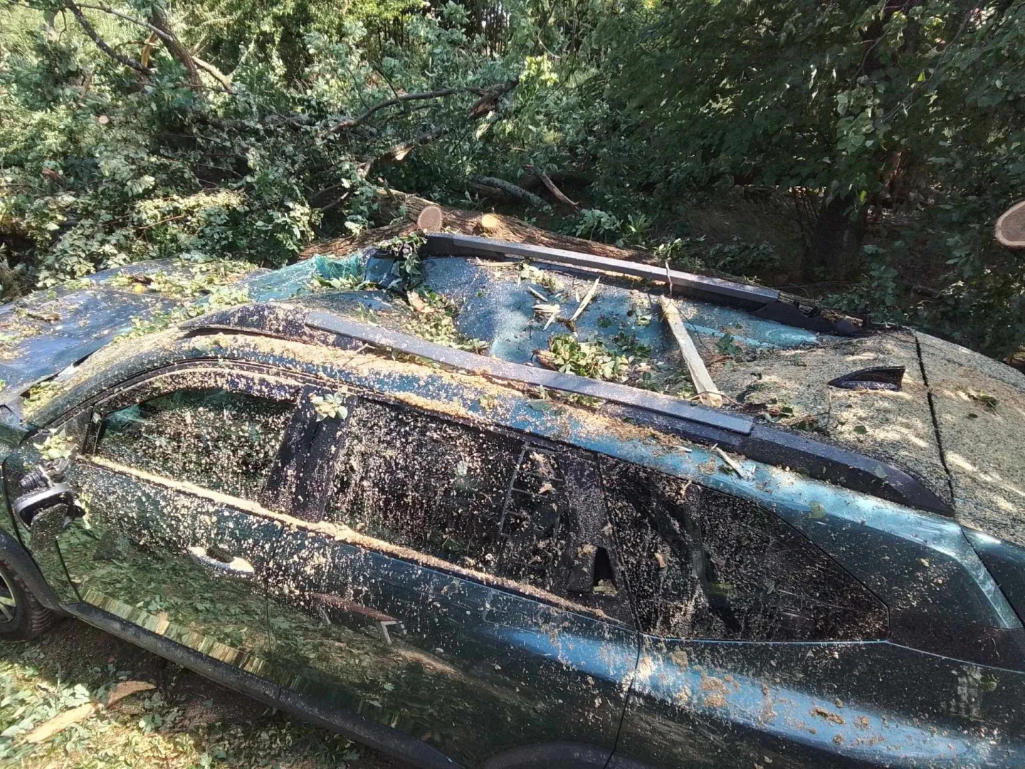 Další den, další bouřky. V Jihlavě spadl strom na auto, od poledne se hasiči nezastaví