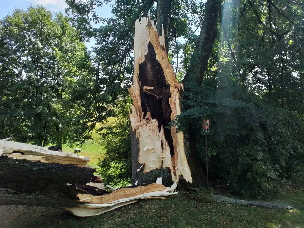 Další den, další bouřky. V Jihlavě spadl strom na auto, od poledne se hasiči nezastaví