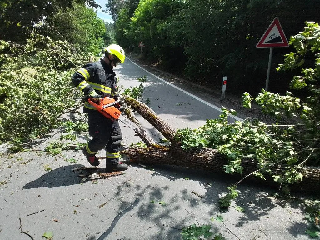 Další den, další bouřky. V Jihlavě spadl strom na auto, od poledne se hasiči nezastaví