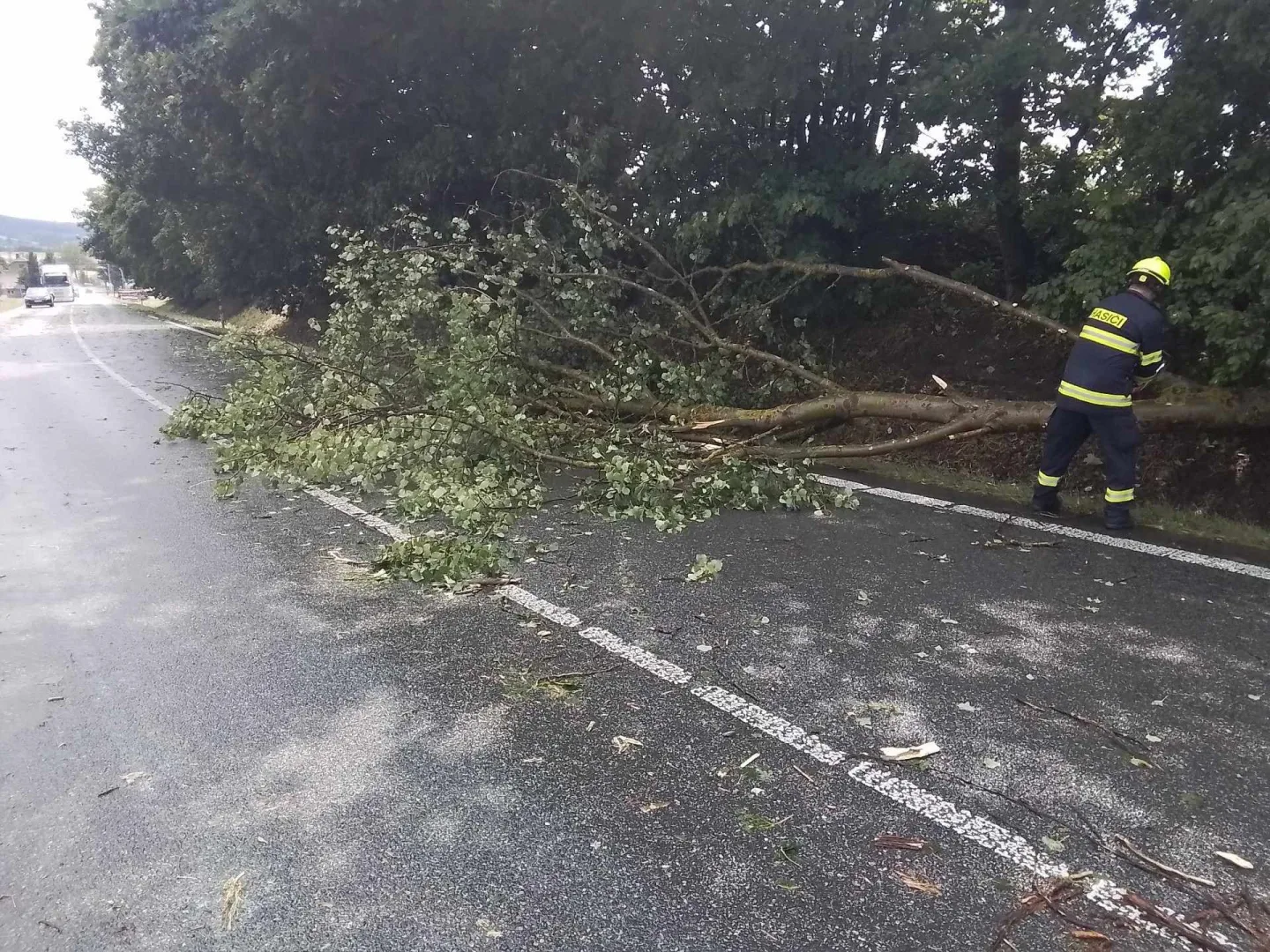 Další den, další bouřky. V Jihlavě spadl strom na auto, od poledne se hasiči nezastaví