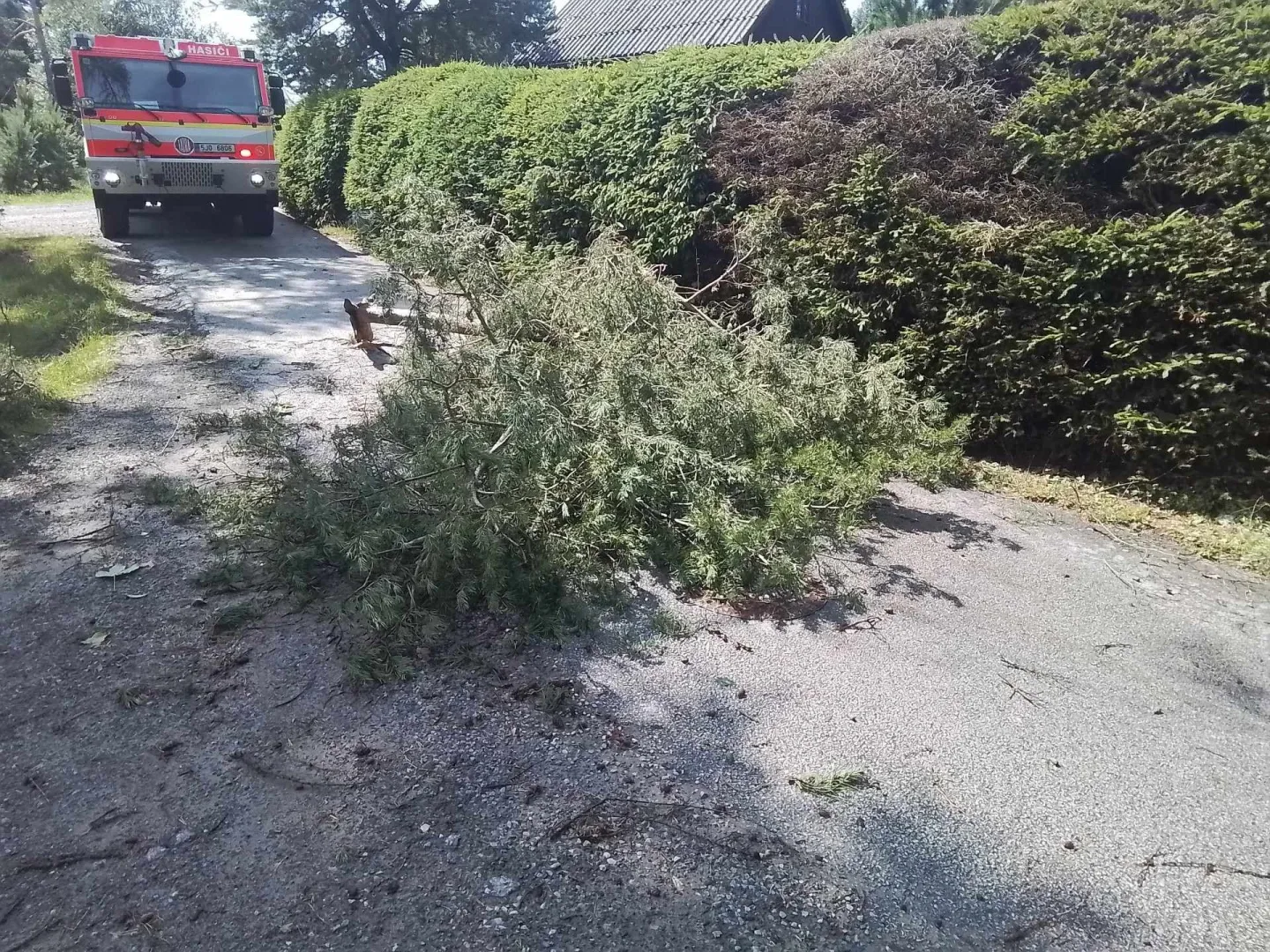 Další den, další bouřky. V Jihlavě spadl strom na auto, od poledne se hasiči nezastaví