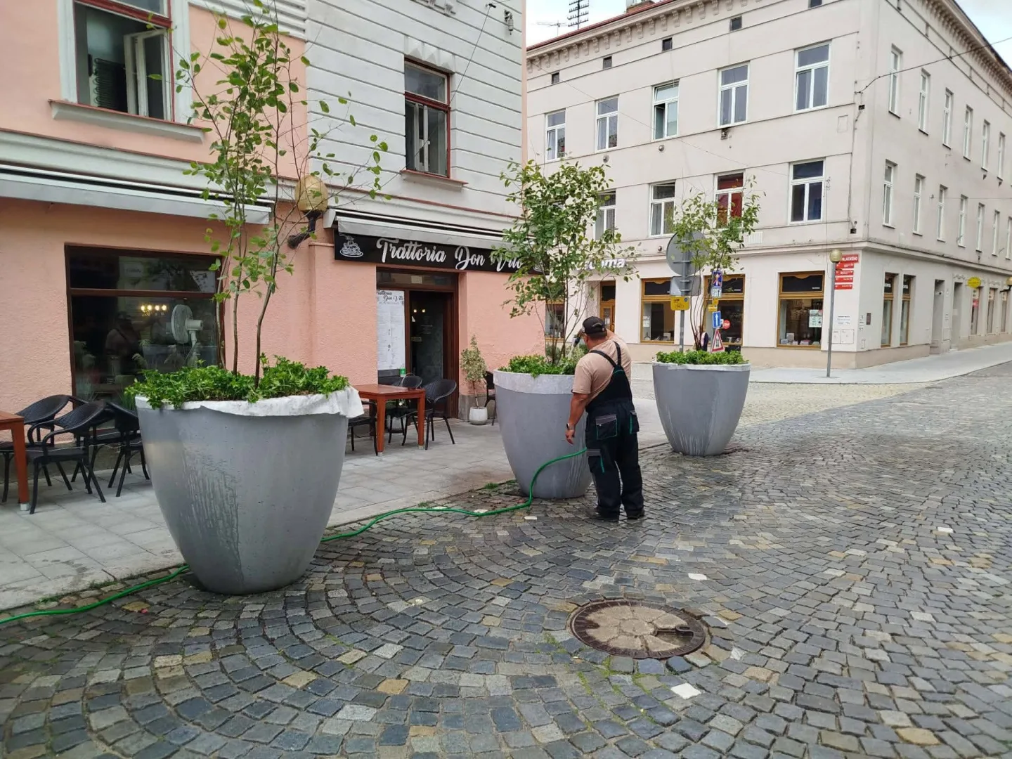 Problém s novou zelení v centru Jihlavy. Lidé vyhazují z květináčů kamenný mulč