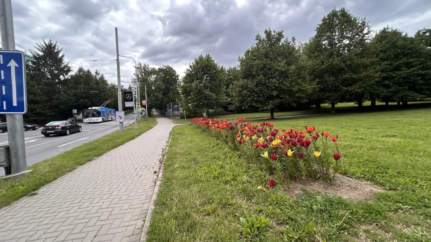 FOTO: Instafriendly Jihlava. Jiráskovu ulici zdobí ohnivé barvy kvetoucích lilií