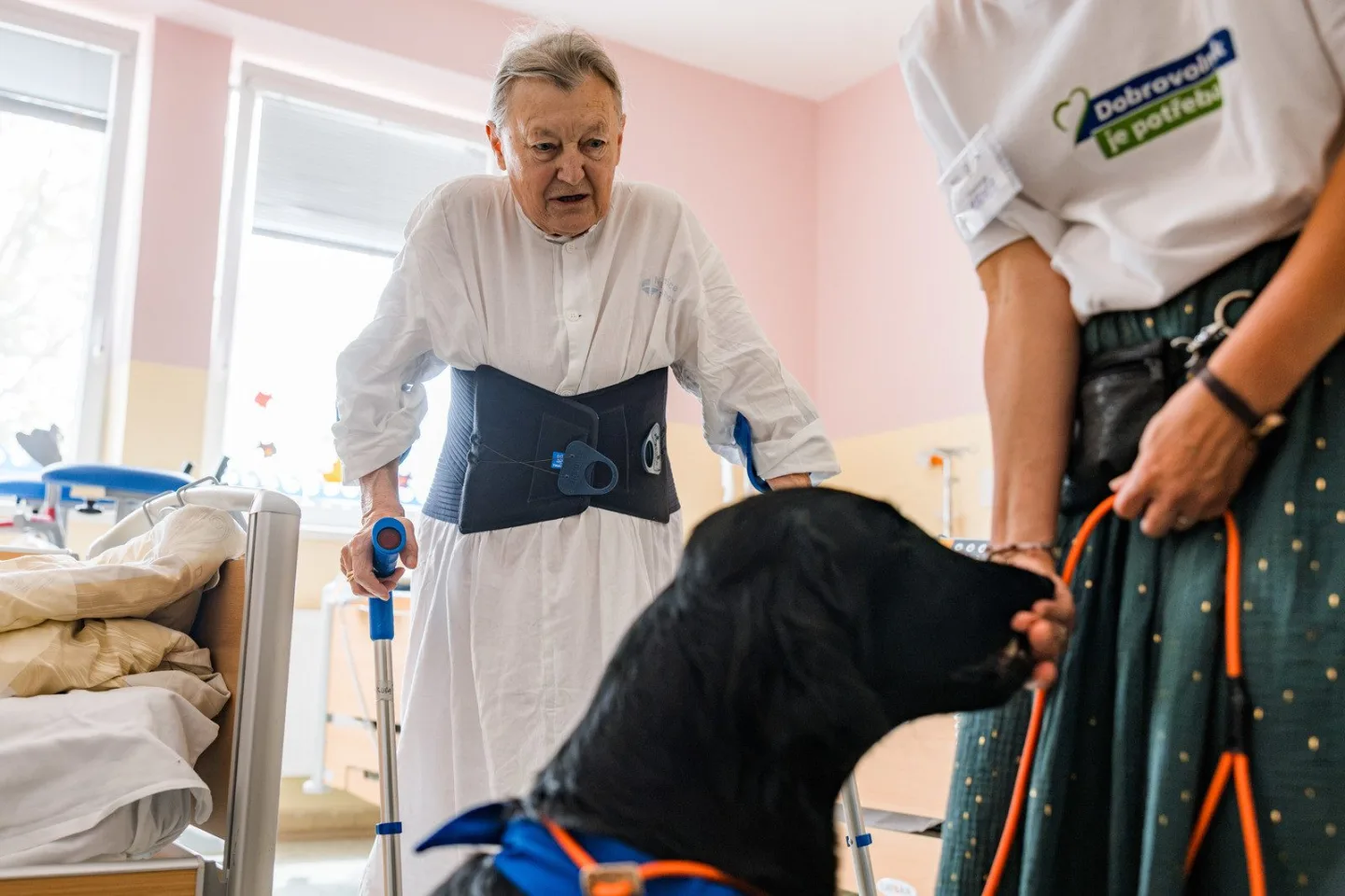 Pacienty pelhřimovské nemocnice navštívila fenka Skye