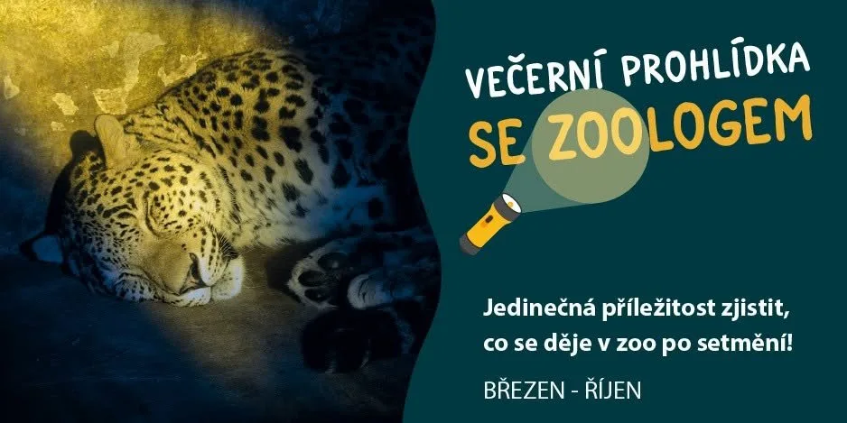 Večerní prohlídky se zoologem v Zoo Jihlava